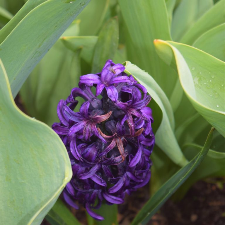 découvrez des trésors cachés qui passent souvent inaperçus, des lieux secrets et des expériences uniques à explorer pour enrichir vos voyages et vos découvertes.