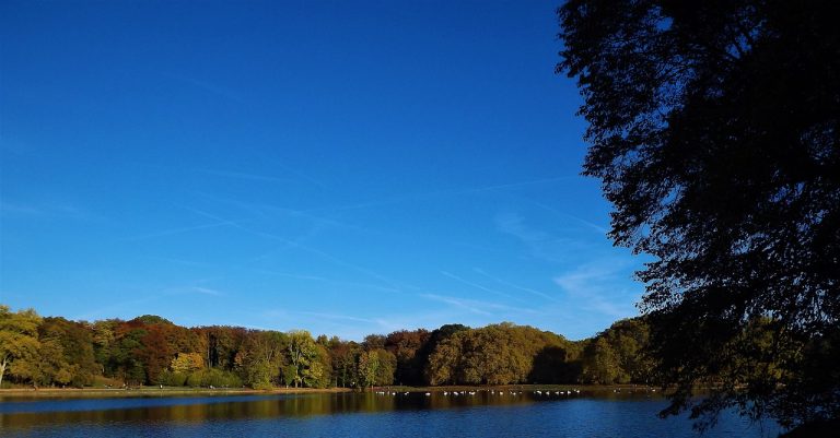 découvrez des escapades locales inoubliables pour échapper au quotidien. profitez de paysages pittoresques, d'activités variées et de moments de détente près de chez vous. parfait pour une aventure d'un week-end ou une pause ressourçante.