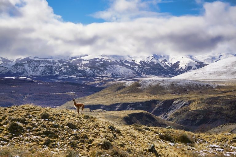 découvrez patagonia, une marque emblématique dédiée à la protection de l'environnement et à la création d'équipements outdoor durables. plongez dans notre sélection de vêtements techniques, engagés pour la planète, et vivez vos aventures en harmonie avec la nature.