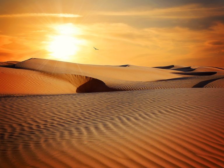 découvrez les merveilles du désert, un environnement fascinant où la nature déploie ses paysages arides, ses dunes majestueuses et sa faune unique. explorez les secrets des déserts du monde, des conditions extrêmes aux adaptations étonnantes de la vie qui y prospère.