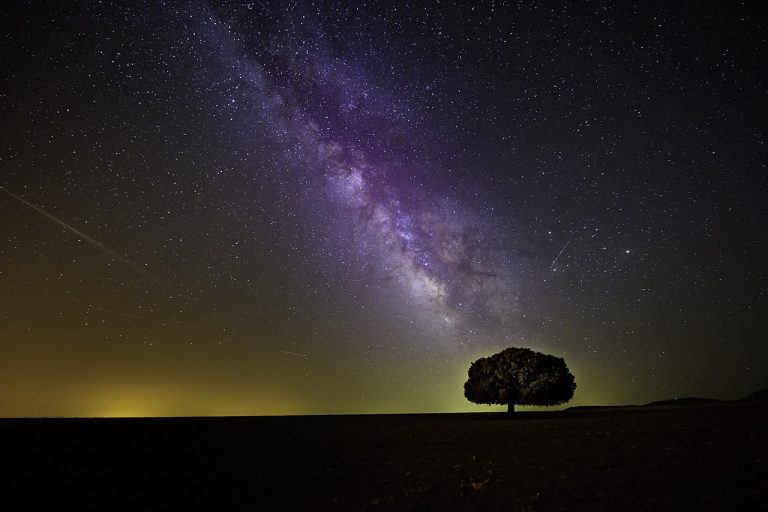 découvrez l'art du stargazing et plongez dans la beauté des cieux étoilés. apprenez à identifier les constellations, à utiliser des télescopes et à savourer des moments inoubliables sous un ciel dégagé. éveillez votre passion pour l'astronomie et explorez les merveilles de l'univers.